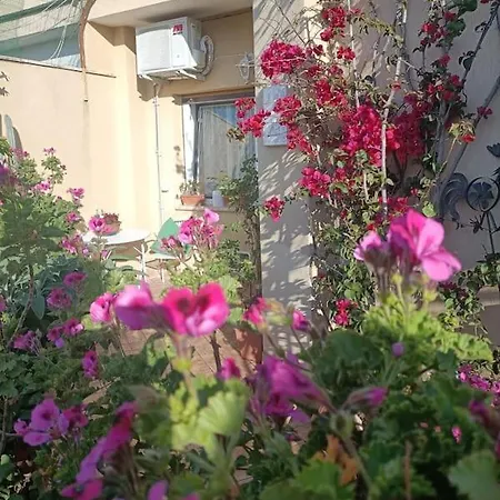 Le Buganville רומא