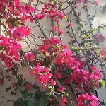 Le Buganville Appartement *
